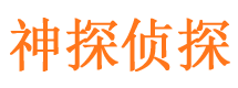 陵水侦探公司